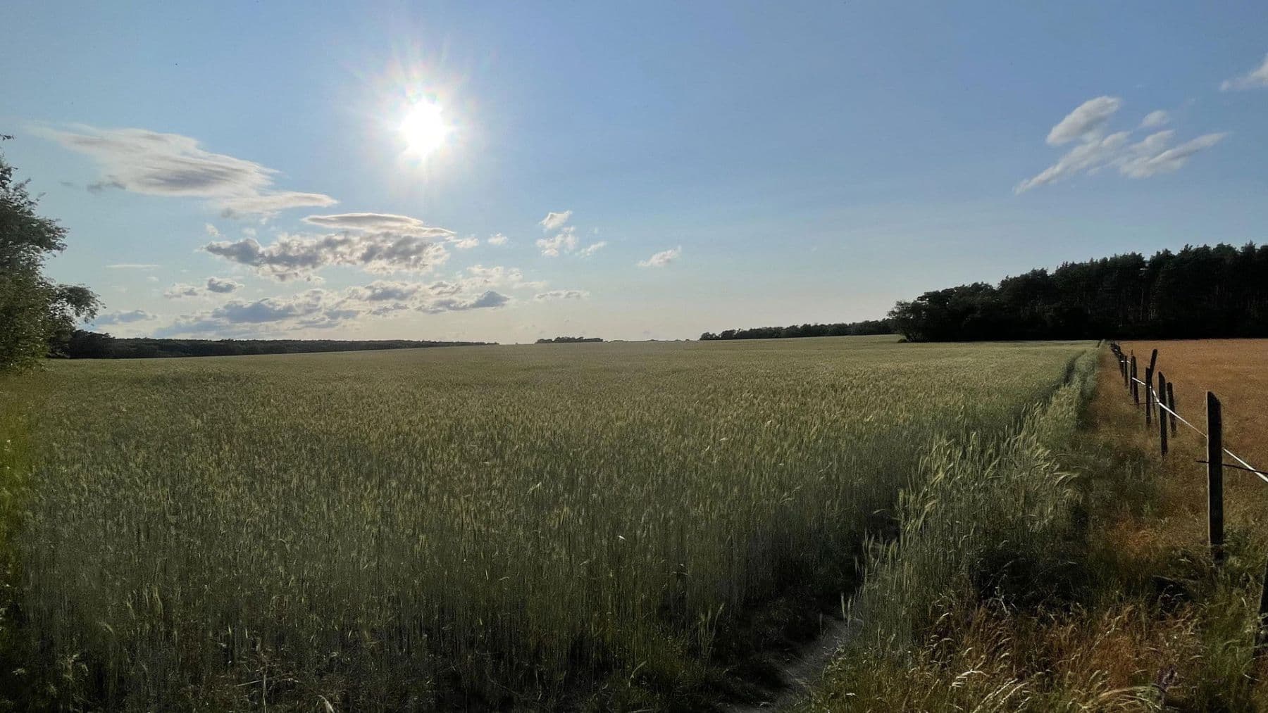 Prodej pozemku 19.700 m², Schulzendorf, Braniborsko Prodej pozemku 19.700 m², Schulzendorf, Braniborsko