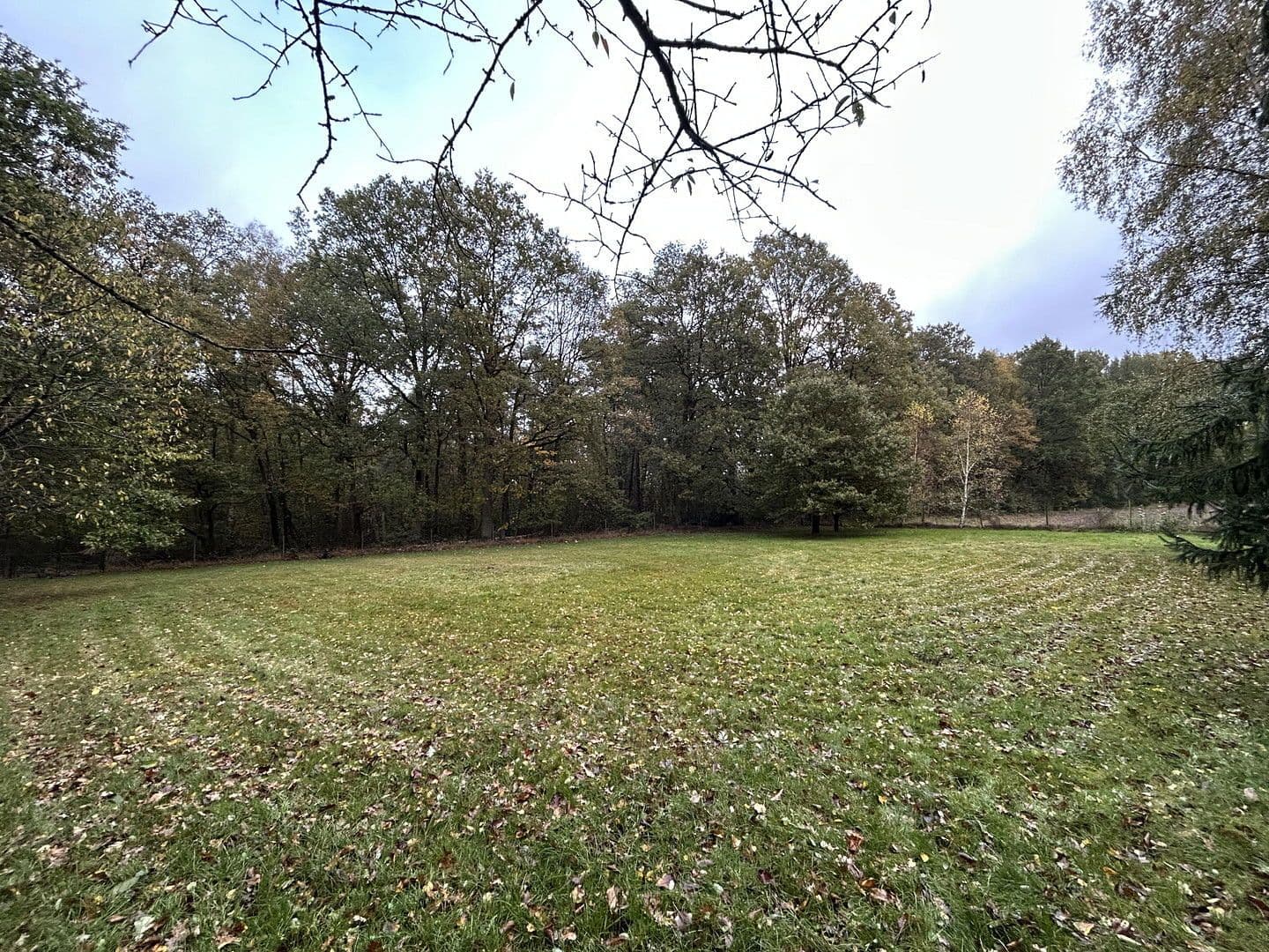 Prodej domu 150 m², pozemek 4.169 m², Neu Wulmstorf, Dolní Sasko Prodej domu 150 m², pozemek 4.169 m², Neu Wulmstorf, Dolní Sasko