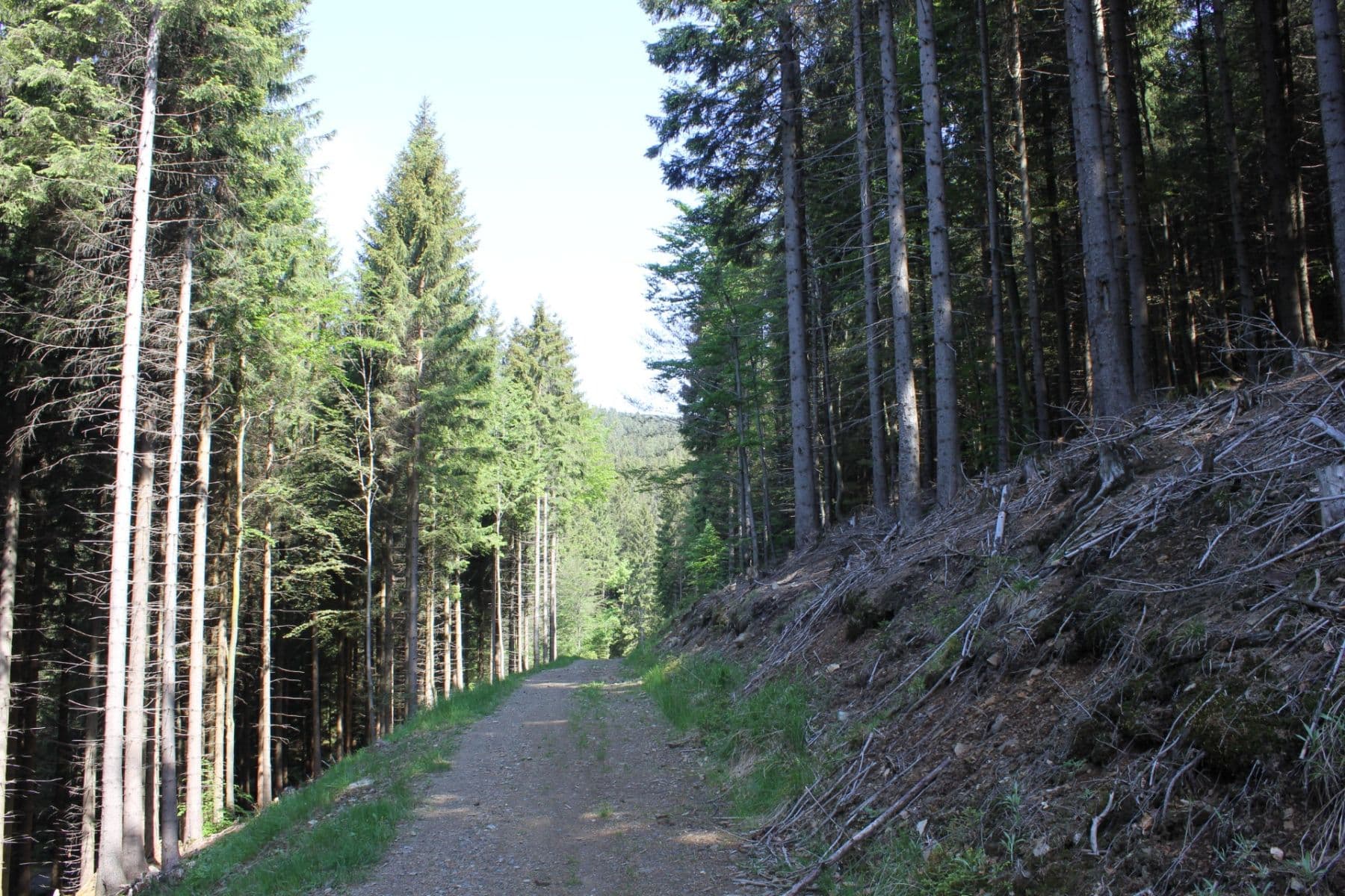 Prodej bytu 2+kk 52 m², Lipová-lázně, Olomoucký kraj Prodej bytu 2+kk 52 m², Lipová-lázně, Olomoucký kraj