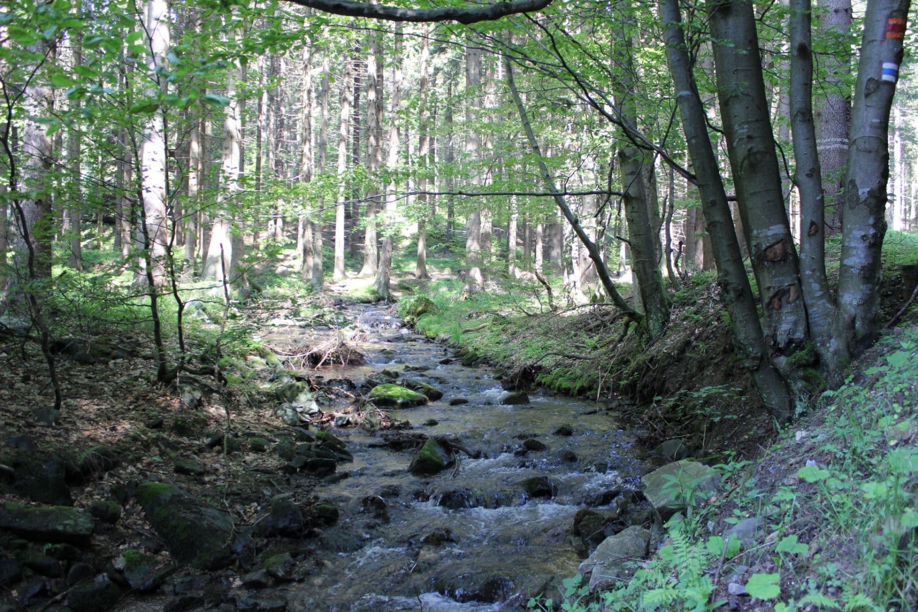 Prodej bytu 2+kk 52 m², Lipová-lázně, Olomoucký kraj Prodej bytu 2+kk 52 m², Lipová-lázně, Olomoucký kraj