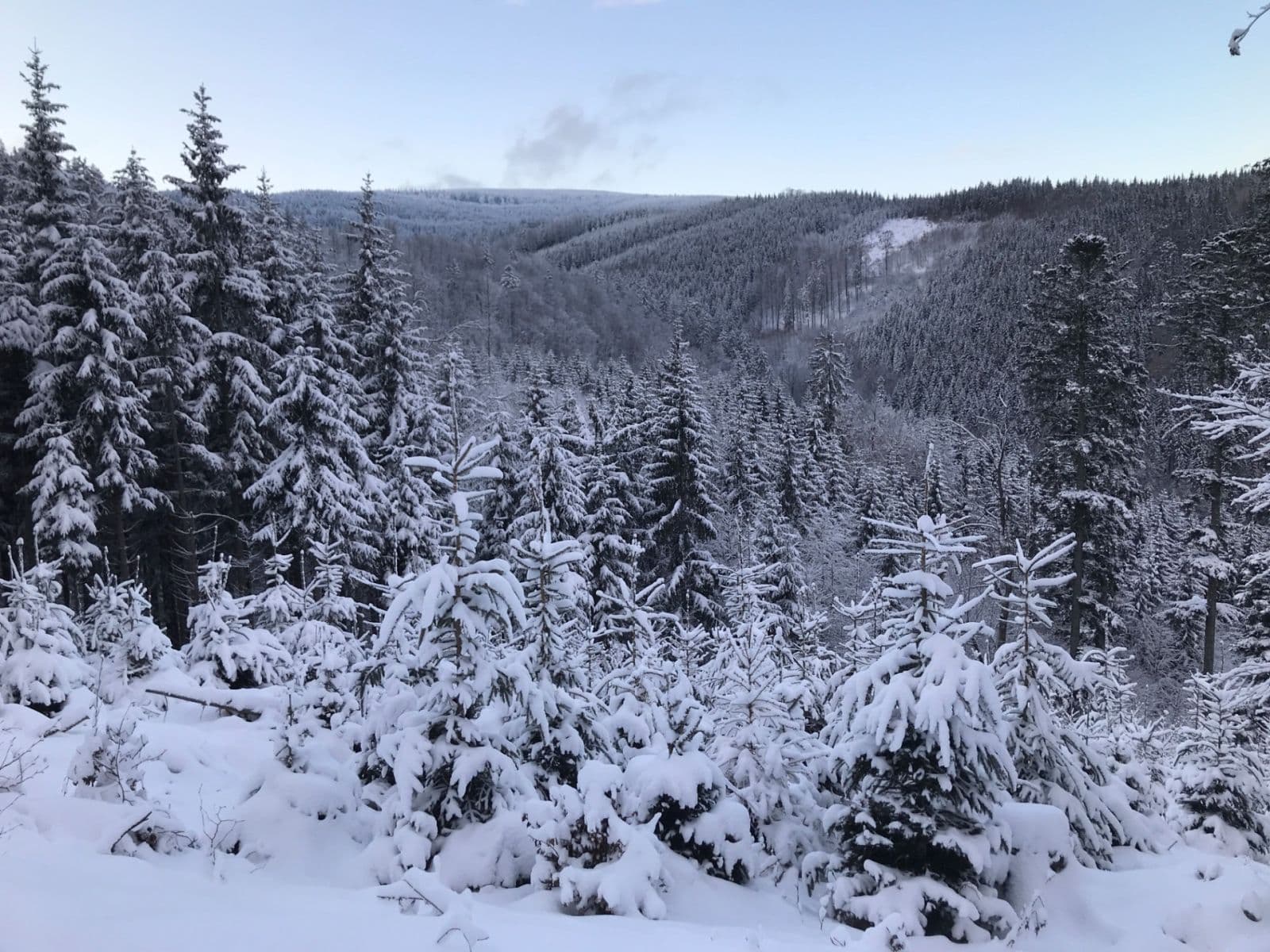 Prodej bytu 2+kk 52 m², Lipová-lázně, Olomoucký kraj Prodej bytu 2+kk 52 m², Lipová-lázně, Olomoucký kraj