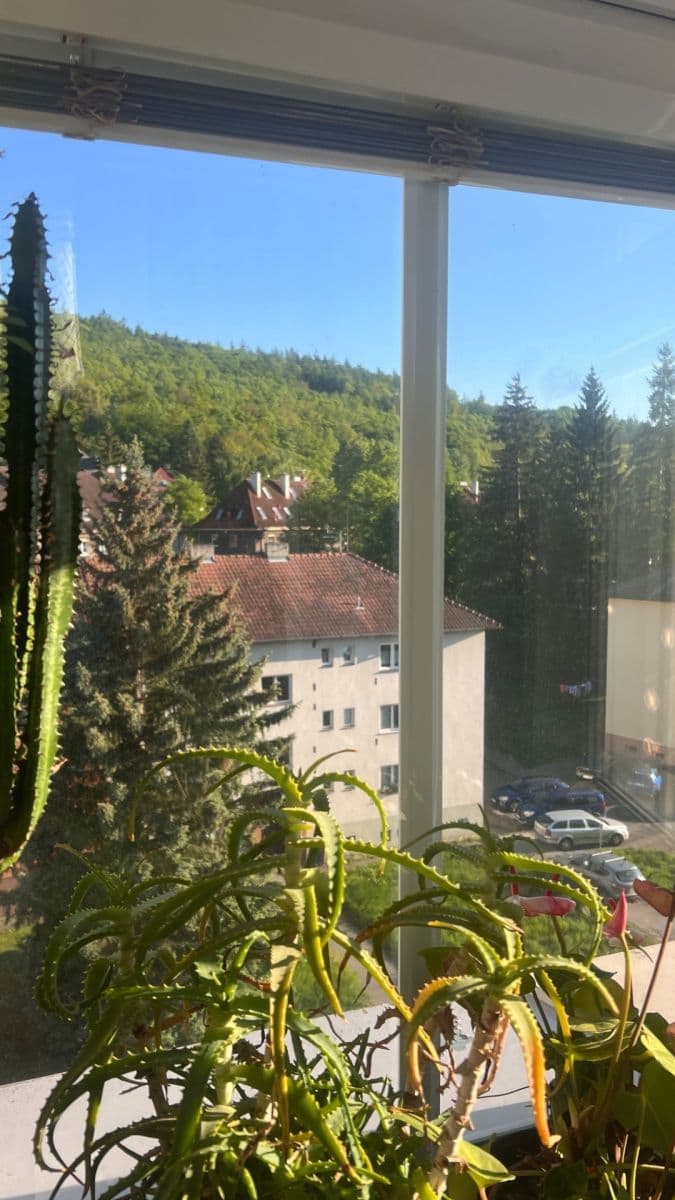 Prodej bytu 2+1 71 m², Moskevská, Karlovy Vary, Karlovarský kraj Prodej bytu 2+1 71 m², Moskevská, Karlovy Vary, Karlovarský kraj