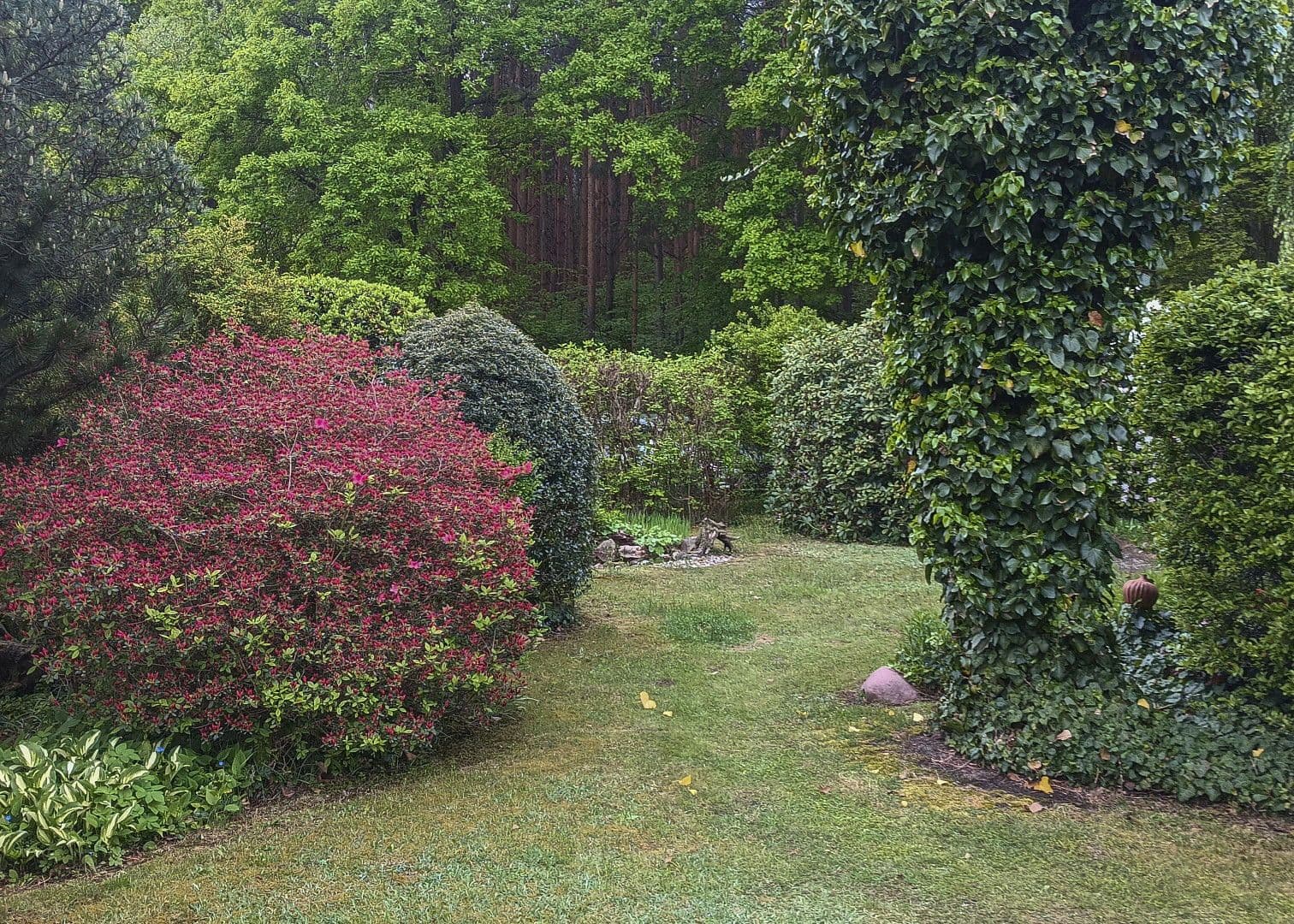 Prodej domu 35 m², pozemek 315 m², Fichtenweg 9, Nízké, Sasko Prodej domu 35 m², pozemek 315 m², Fichtenweg 9, Nízké, Sasko