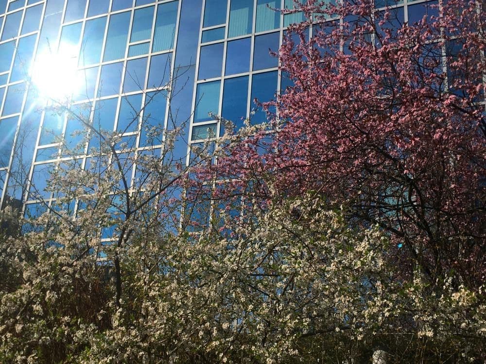 Prodej bytu 6+1 202 m², Berlin, Berlín Prodej bytu 6+1 202 m², Berlin, Berlín