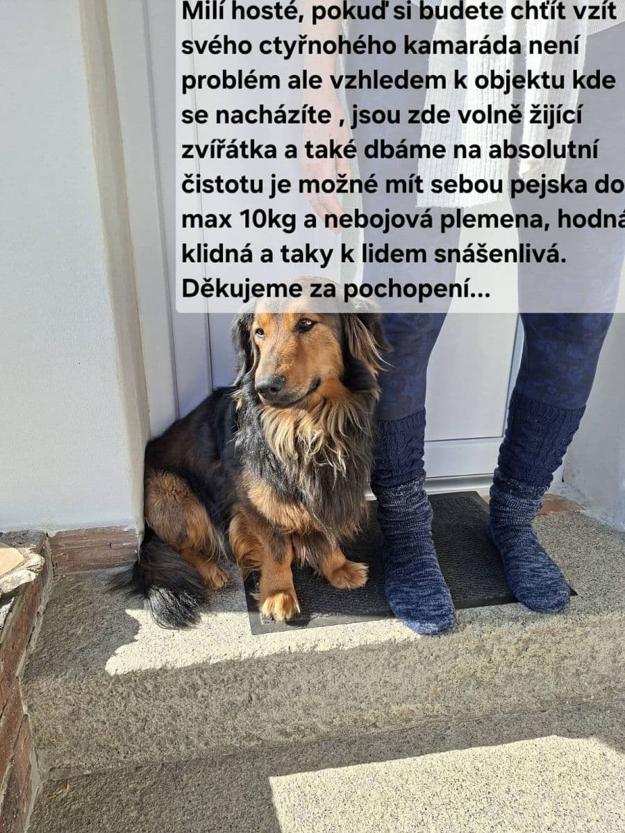 Pronájem chaty, chalupy, Lnáře, Jihočeský kraj Pronájem chaty, chalupy, Lnáře, Jihočeský kraj