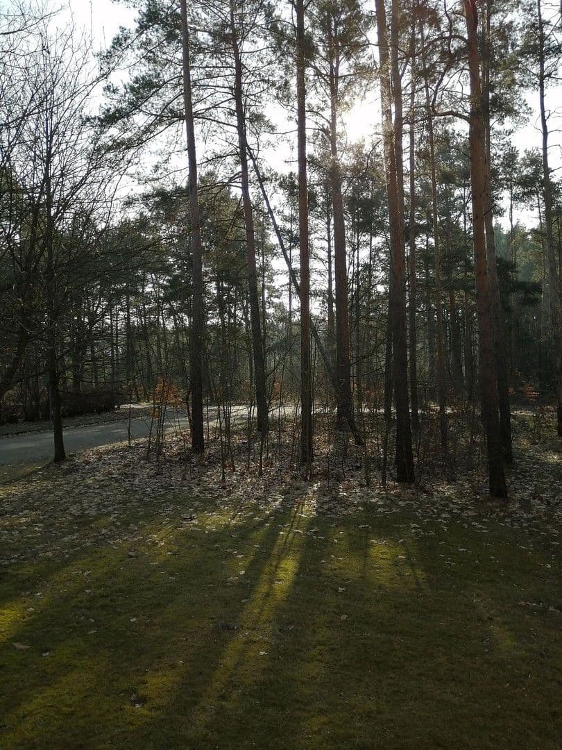 Pronájem bytu 3+1 66 m², Pilzheide 14, Heideblick, Braniborsko Pronájem bytu 3+1 66 m², Pilzheide 14, Heideblick, Braniborsko