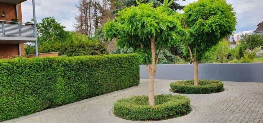 Pronájem bytu 3+kk 103 m², Güldenkamp 64, Braunschweig, Dolní Sasko Pronájem bytu 3+kk 103 m², Güldenkamp 64, Braunschweig, Dolní Sasko