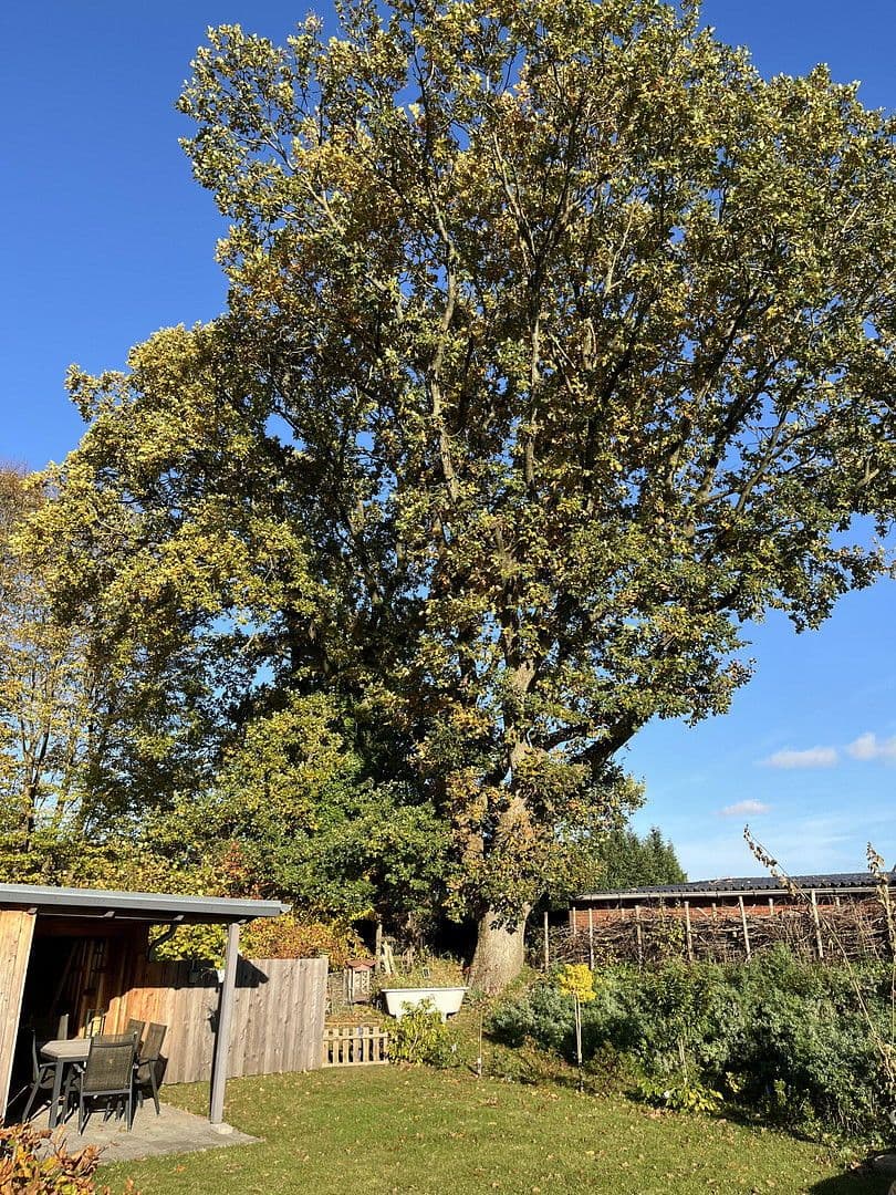 Prodej domu 146 m², pozemek 815 m², Tellingstedt, Šlesvicko-Holštýnsko Prodej domu 146 m², pozemek 815 m², Tellingstedt, Šlesvicko-Holštýnsko