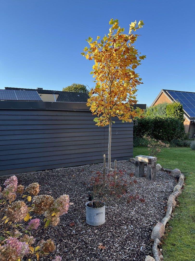 Prodej domu 146 m², pozemek 815 m², Tellingstedt, Šlesvicko-Holštýnsko Prodej domu 146 m², pozemek 815 m², Tellingstedt, Šlesvicko-Holštýnsko