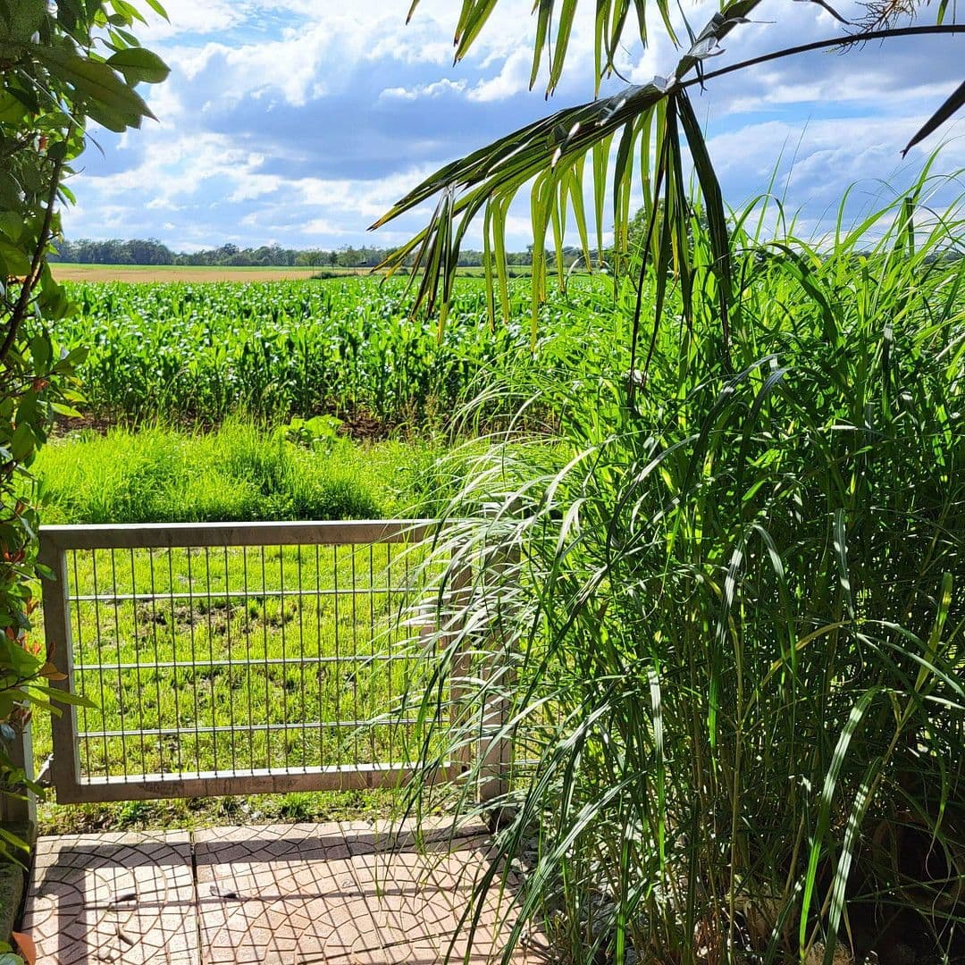 Prodej bytu 3+1 93 m², Untergruppenbach, Bádensko-Württembersko Prodej bytu 3+1 93 m², Untergruppenbach, Bádensko-Württembersko