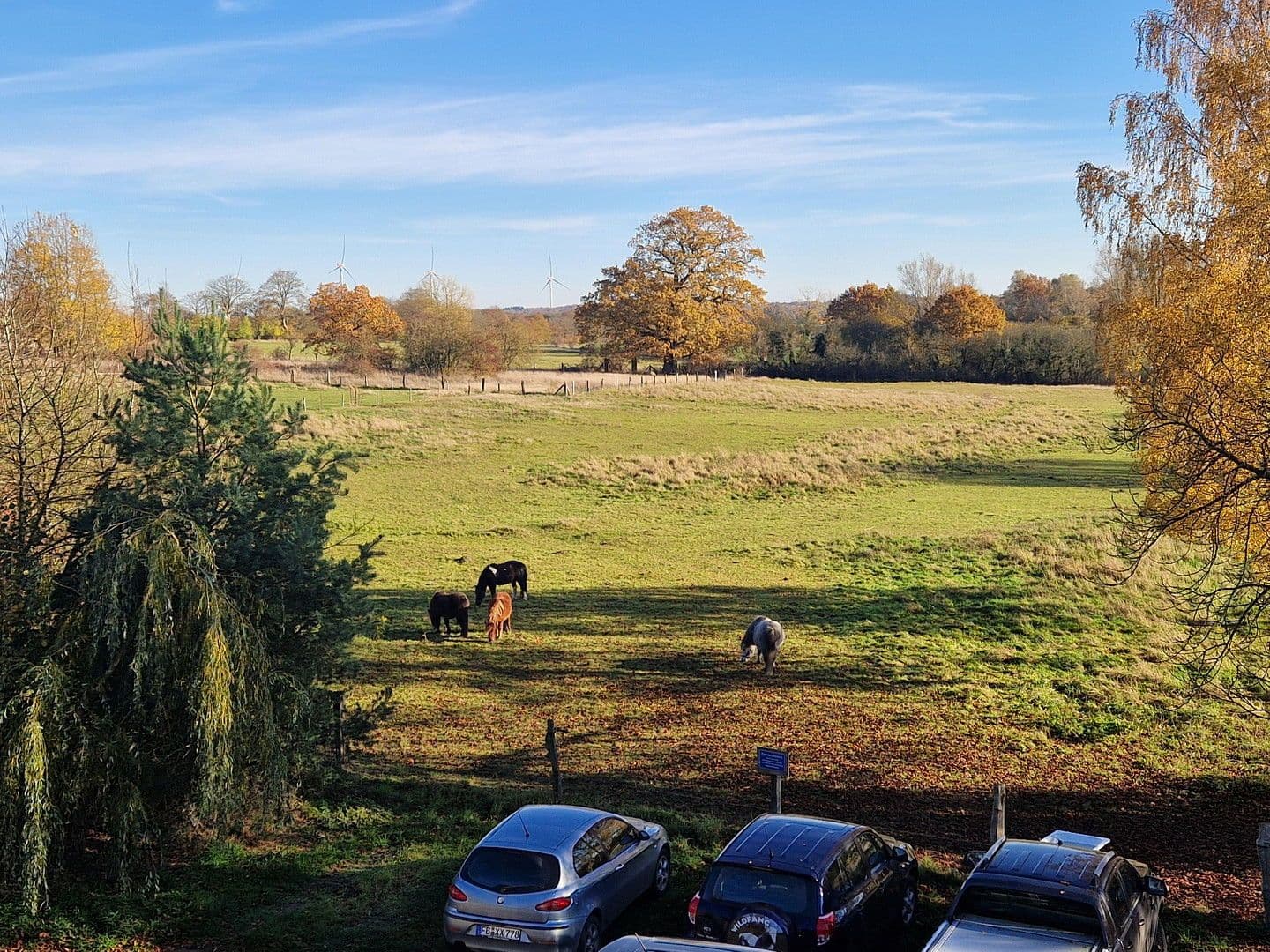 Pronájem bytu 3+1 63 m², Dorfstraße 9, Damshagen, Mecklenburg-Vorpommern Pronájem bytu 3+1 63 m², Dorfstraße 9, Damshagen, Mecklenburg-Vorpommern