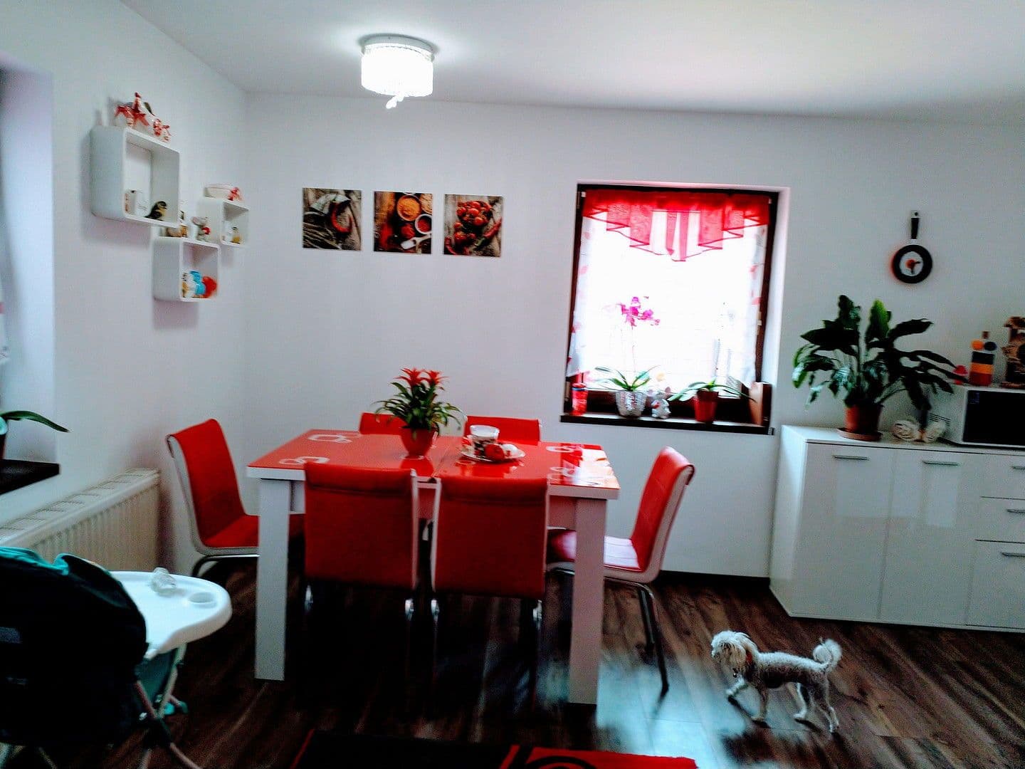 Prodej domu 150 m², pozemek 580 m², Hadersdorferweg 3, Altheim, Horní Rakousko Prodej domu 150 m², pozemek 580 m², Hadersdorferweg 3, Altheim, Horní Rakousko