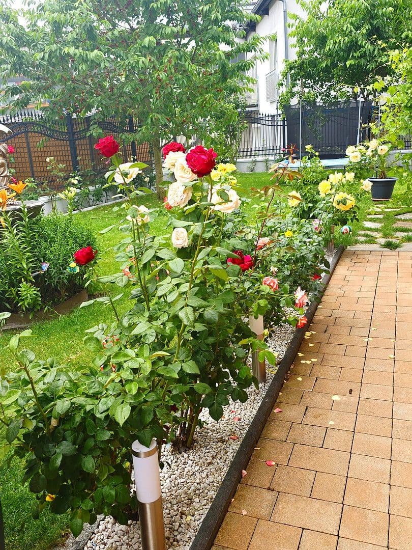 Prodej domu 150 m², pozemek 580 m², Hadersdorferweg 3, Altheim, Horní Rakousko Prodej domu 150 m², pozemek 580 m², Hadersdorferweg 3, Altheim, Horní Rakousko