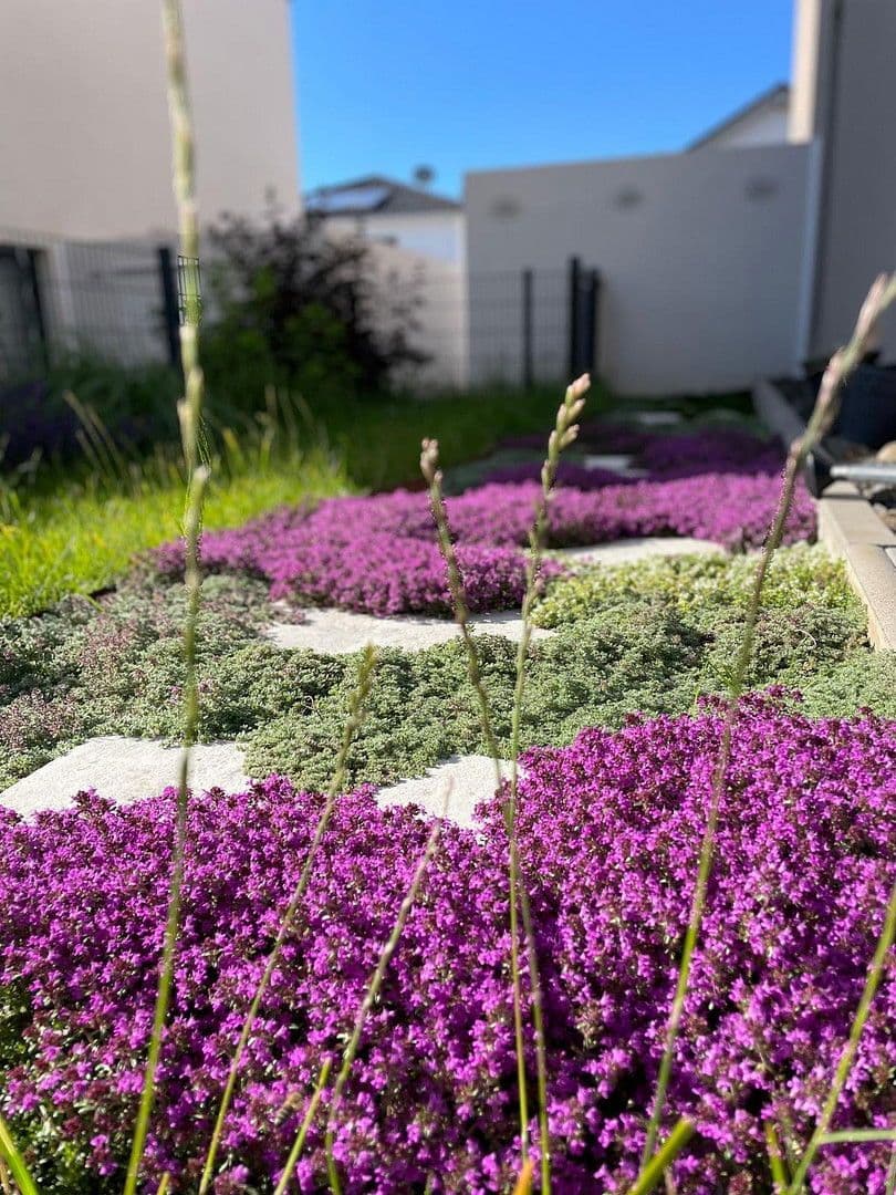 Prodej domu 156 m², pozemek 285 m², Karben, Hessen Prodej domu 156 m², pozemek 285 m², Karben, Hessen