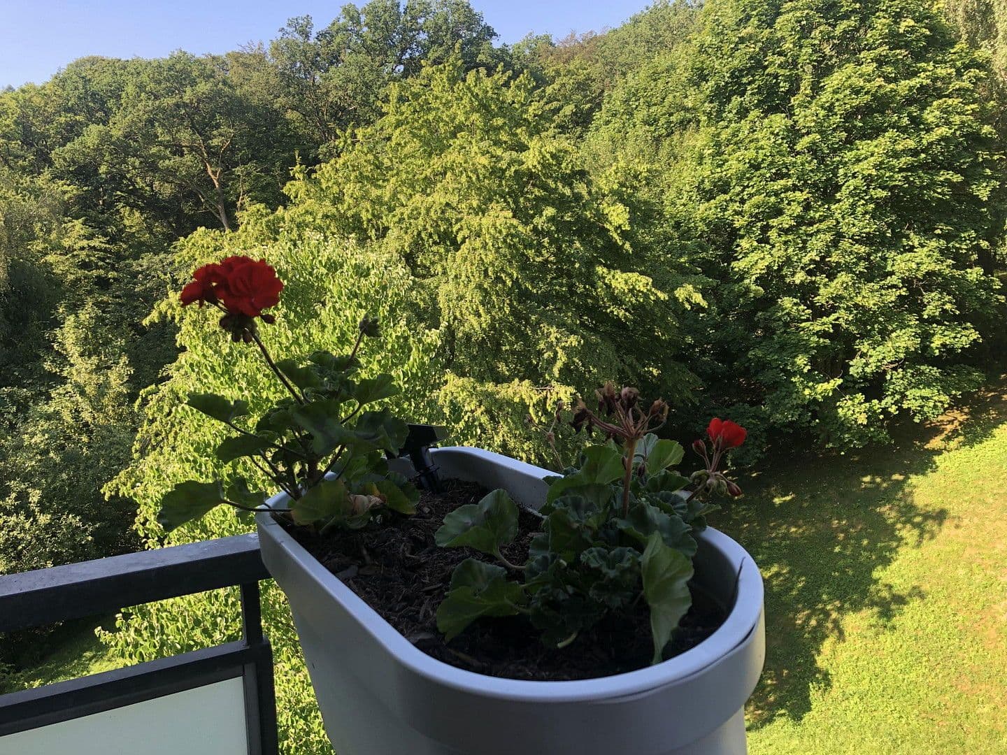 Pronájem bytu 3+kk 91 m², Eppstein, Hessen Pronájem bytu 3+kk 91 m², Eppstein, Hessen