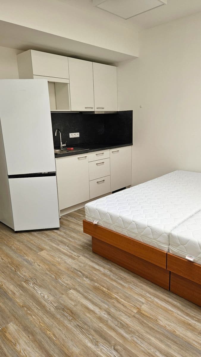 Pronájem bytu 1+kk 23 m², Sinkulova, Praha, Praha Pronájem bytu 1+kk 23 m², Sinkulova, Praha, Praha