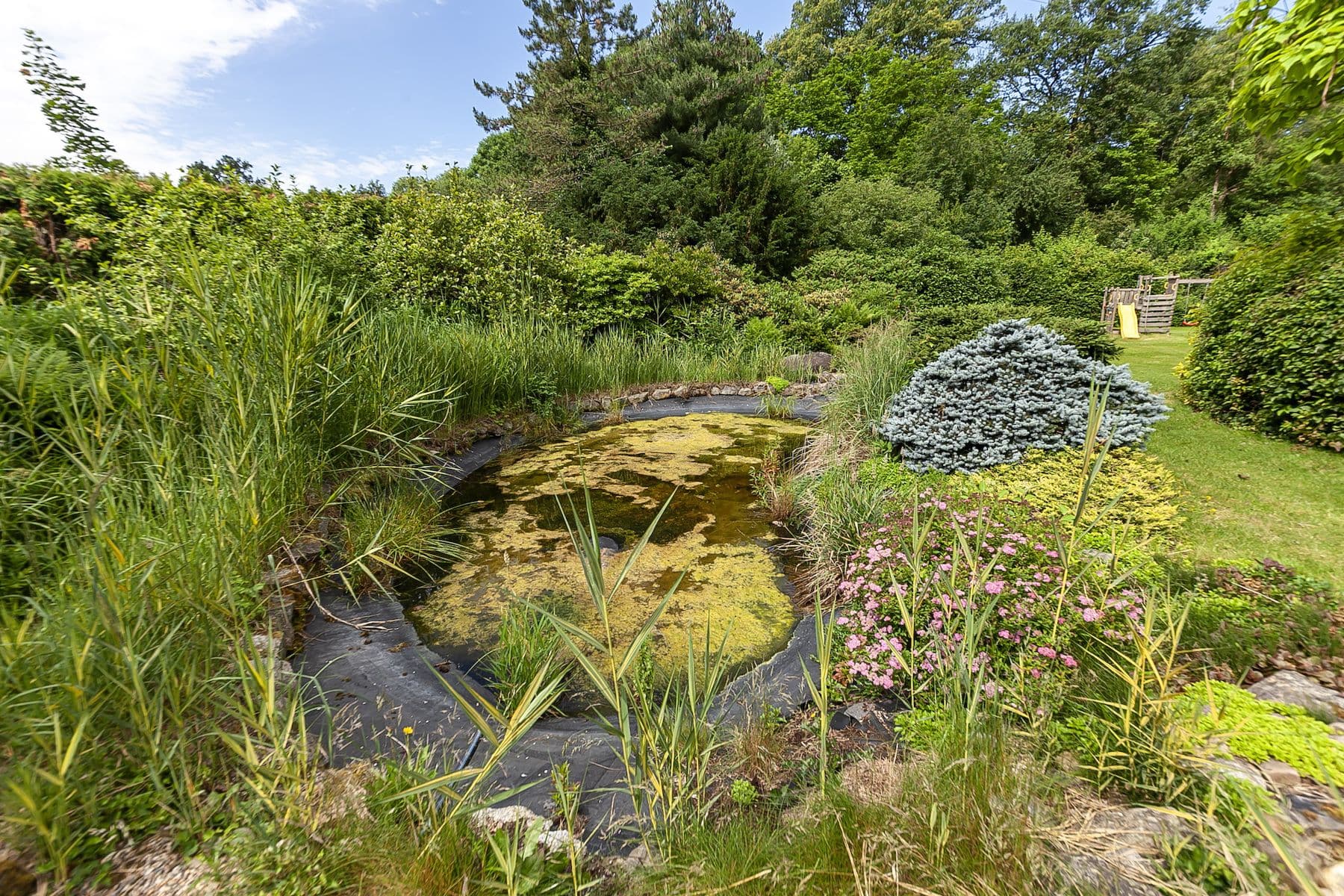 Prodej domu 152 m², pozemek 3.220 m², Na Červeném Hrádku, Sedlčany, Středočeský kraj Prodej domu 152 m², pozemek 3.220 m², Na Červeném Hrádku, Sedlčany, Středočeský kraj