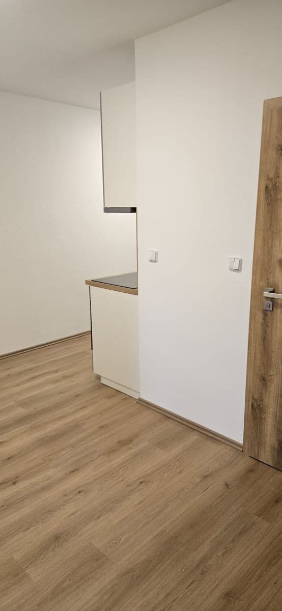 Pronájem bytu 2+1 52 m², Hornická, Tišnov, Jihomoravský kraj Pronájem bytu 2+1 52 m², Hornická, Tišnov, Jihomoravský kraj