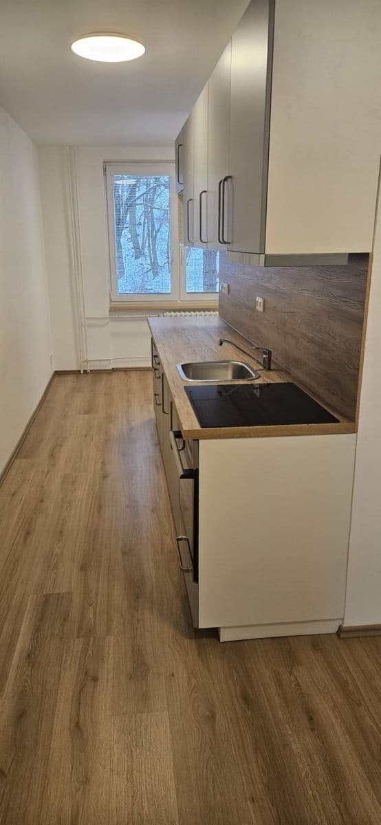 Pronájem bytu 2+1 52 m², Hornická, Tišnov, Jihomoravský kraj Pronájem bytu 2+1 52 m², Hornická, Tišnov, Jihomoravský kraj