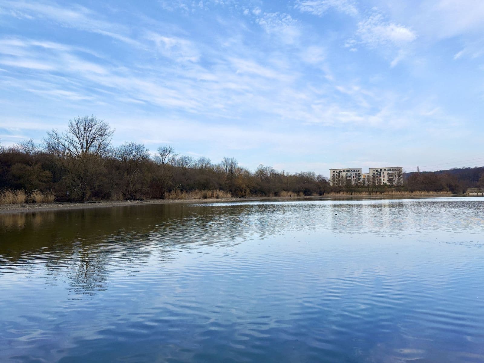 Pronájem bytu 1+kk 30 m², Poděbradská, Praha, Praha Pronájem bytu 1+kk 30 m², Poděbradská, Praha, Praha