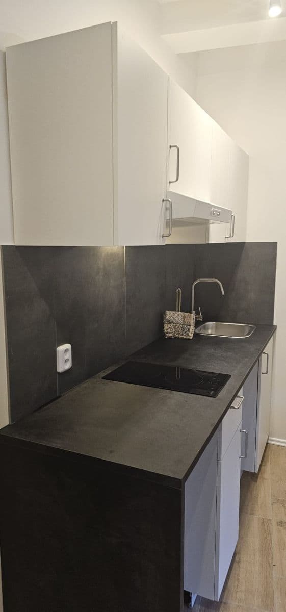 Pronájem bytu 1+kk 26 m², Na Cikánce, Praha, Praha Pronájem bytu 1+kk 26 m², Na Cikánce, Praha, Praha