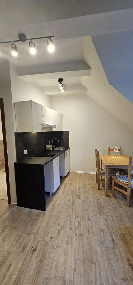 Pronájem bytu 1+kk 26 m², Na Cikánce, Praha, Praha Pronájem bytu 1+kk 26 m², Na Cikánce, Praha, Praha