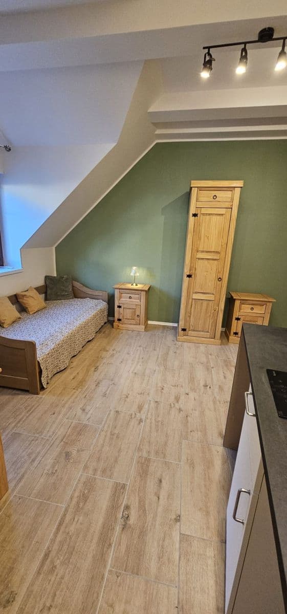 Pronájem bytu 1+kk 26 m², Na Cikánce, Praha, Praha Pronájem bytu 1+kk 26 m², Na Cikánce, Praha, Praha