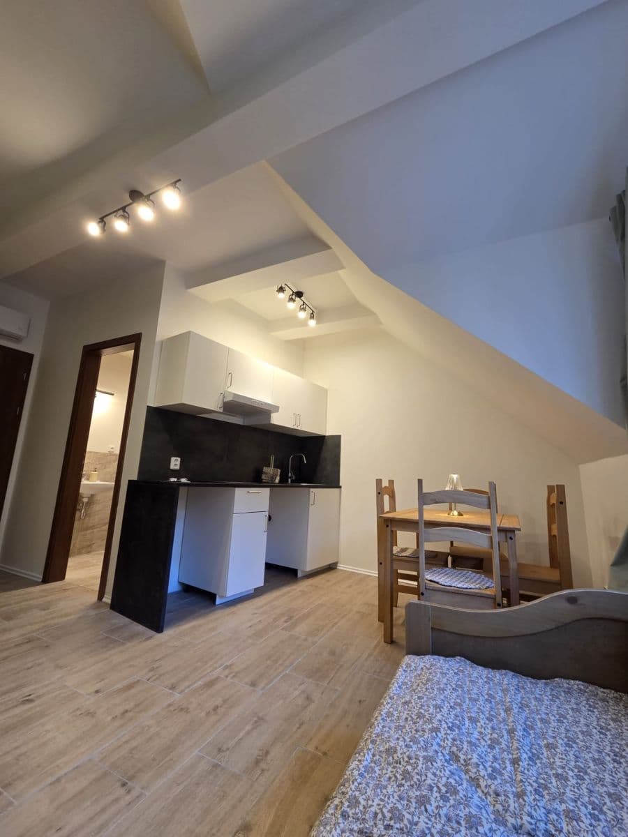 Pronájem bytu 1+kk 26 m², Na Cikánce, Praha, Praha Pronájem bytu 1+kk 26 m², Na Cikánce, Praha, Praha
