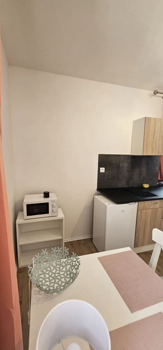 Pronájem bytu 1+kk 28 m², Na Cikánce, Praha, Praha Pronájem bytu 1+kk 28 m², Na Cikánce, Praha, Praha