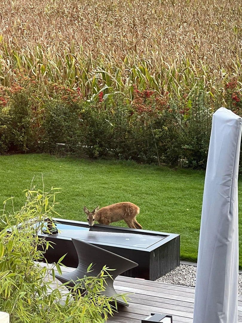 Prodej domu 226 m², pozemek 952 m², Bilshausen, Dolní Sasko Prodej domu 226 m², pozemek 952 m², Bilshausen, Dolní Sasko