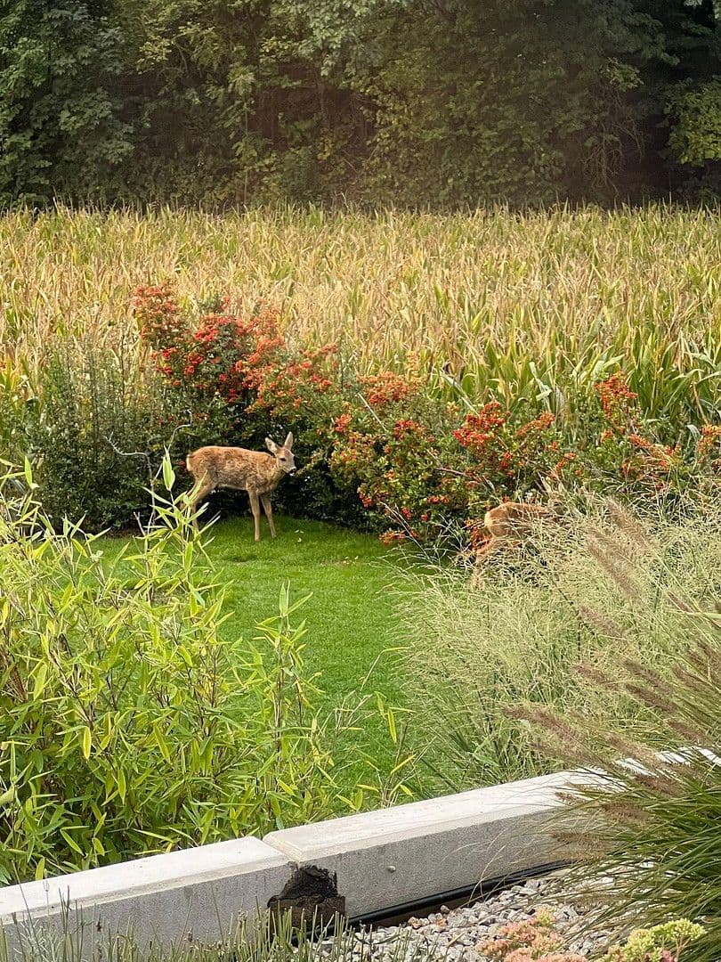 Prodej domu 226 m², pozemek 952 m², Bilshausen, Dolní Sasko Prodej domu 226 m², pozemek 952 m², Bilshausen, Dolní Sasko