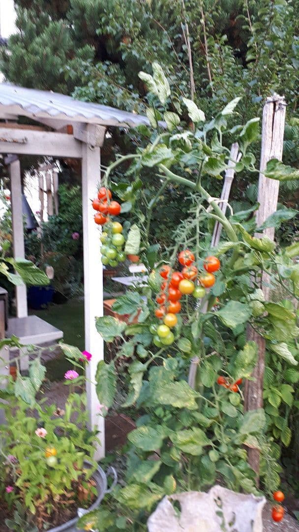 Prodej domu 200 m², pozemek 778 m², Hornberg, Bádensko-Württembersko Prodej domu 200 m², pozemek 778 m², Hornberg, Bádensko-Württembersko