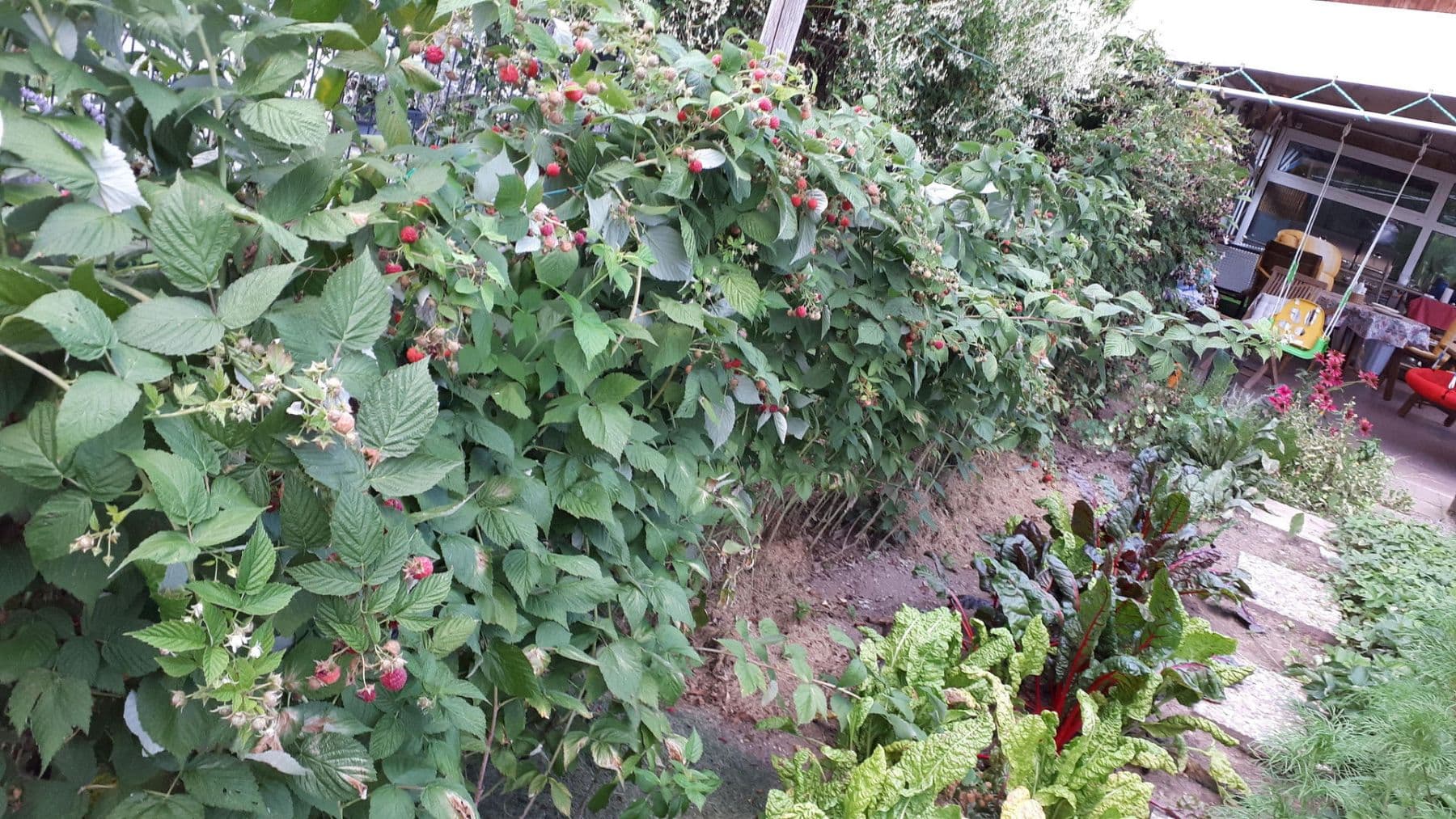 Prodej domu 200 m², pozemek 778 m², Hornberg, Bádensko-Württembersko Prodej domu 200 m², pozemek 778 m², Hornberg, Bádensko-Württembersko