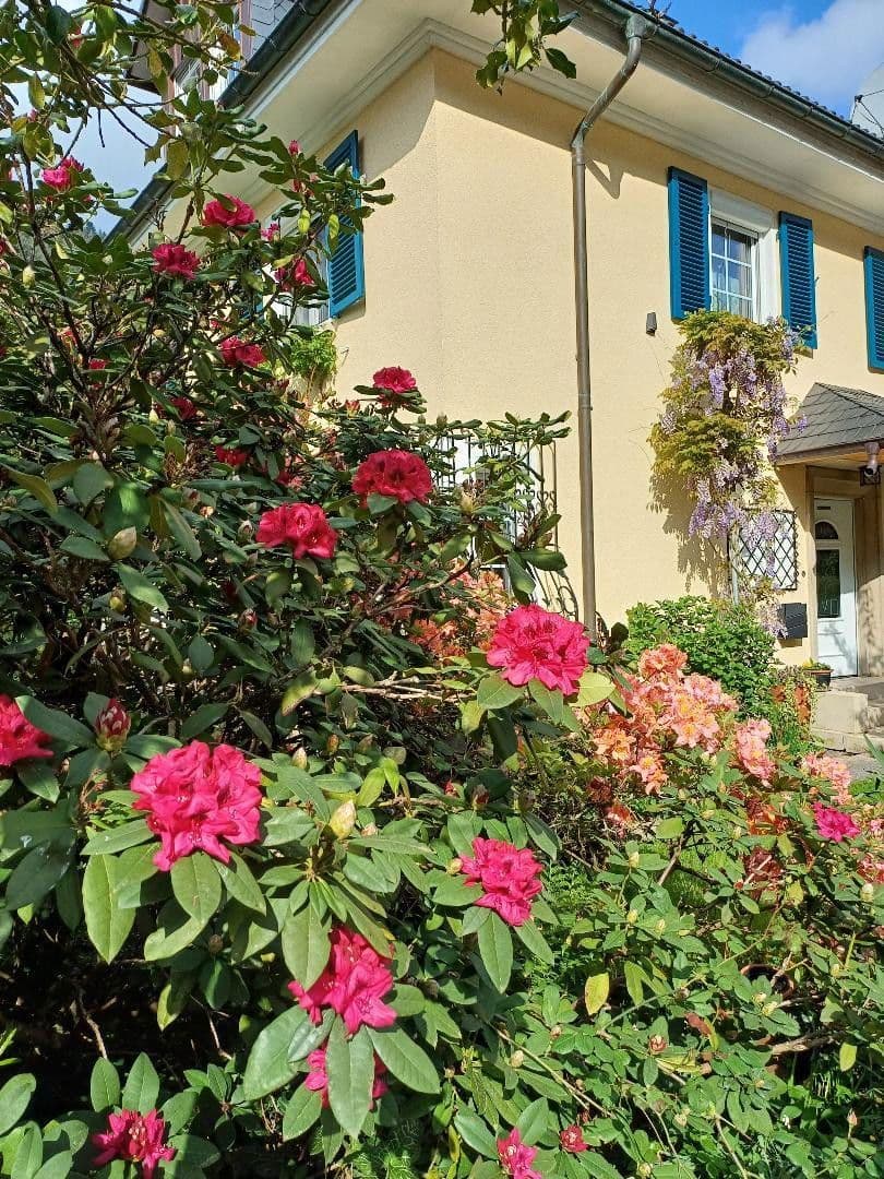 Prodej domu 200 m², pozemek 778 m², Hornberg, Bádensko-Württembersko Prodej domu 200 m², pozemek 778 m², Hornberg, Bádensko-Württembersko