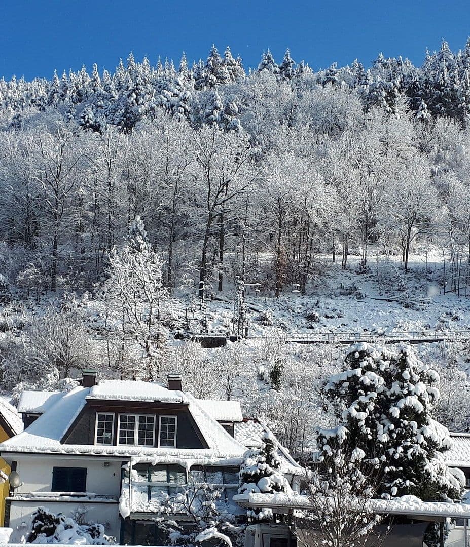 Prodej domu 200 m², pozemek 778 m², Hornberg, Bádensko-Württembersko Prodej domu 200 m², pozemek 778 m², Hornberg, Bádensko-Württembersko