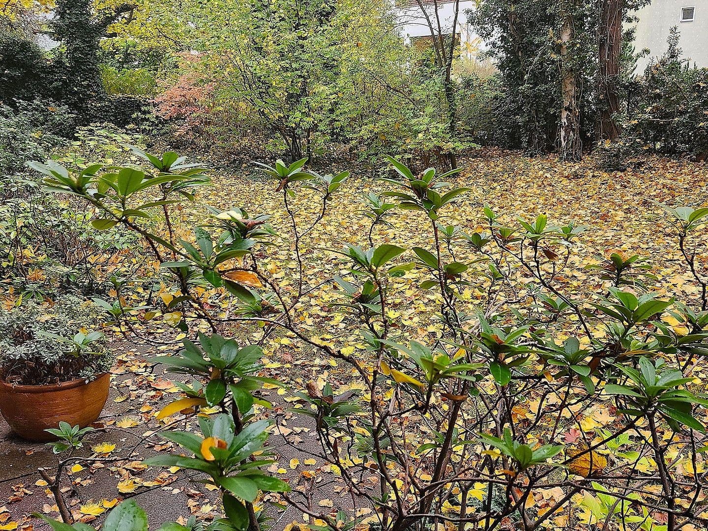 Prodej bytu 1+1 44 m², Berlin, Berlín Prodej bytu 1+1 44 m², Berlin, Berlín