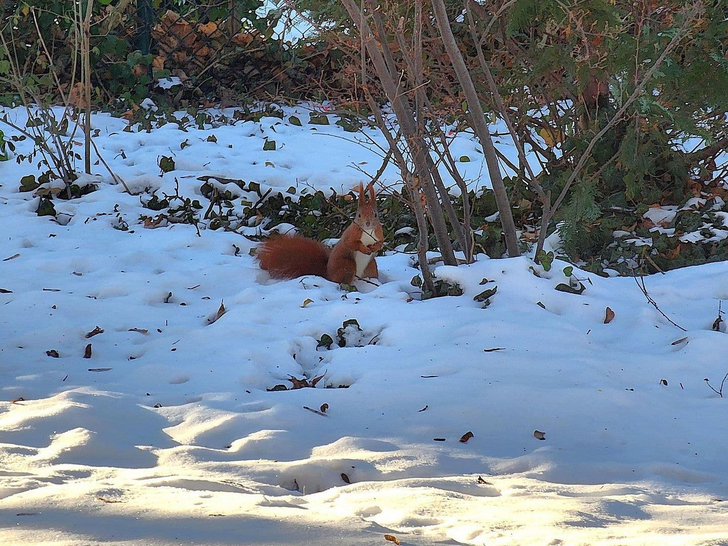 Prodej bytu 1+1 44 m², Berlin, Berlín Prodej bytu 1+1 44 m², Berlin, Berlín