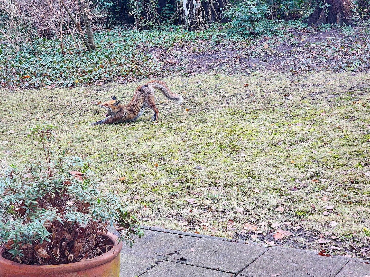 Prodej bytu 1+1 44 m², Berlin, Berlín Prodej bytu 1+1 44 m², Berlin, Berlín