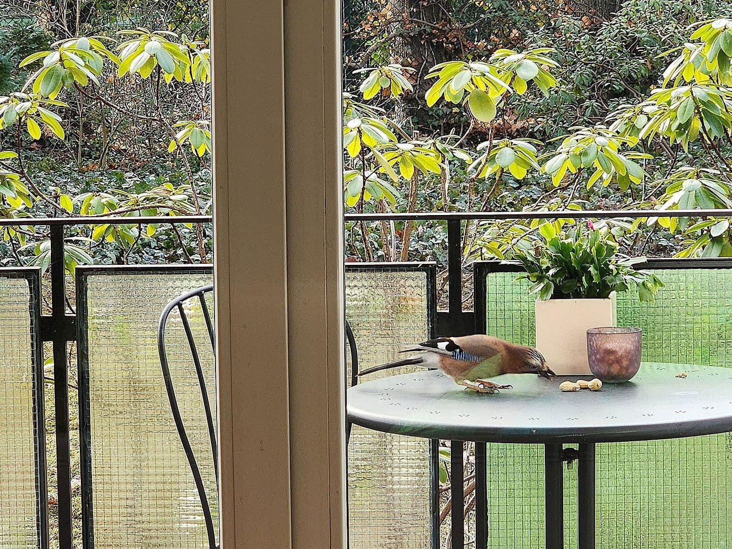 Prodej bytu 1+1 44 m², Berlin, Berlín Prodej bytu 1+1 44 m², Berlin, Berlín