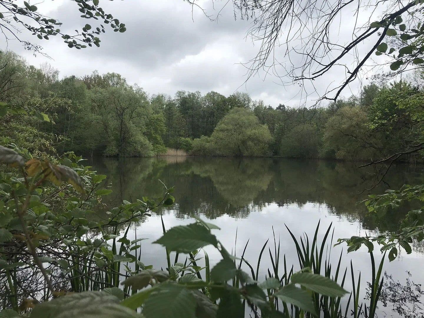 Pronájem bytu 2+1 60 m², Braunschweig, Dolní Sasko Pronájem bytu 2+1 60 m², Braunschweig, Dolní Sasko