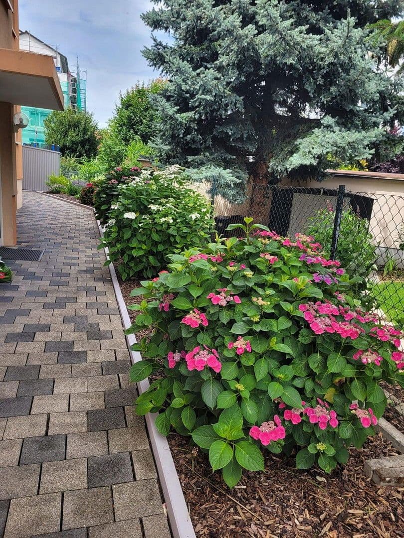 Prodej bytu 4+1 125 m², Oftersheim, Bádensko-Württembersko Prodej bytu 4+1 125 m², Oftersheim, Bádensko-Württembersko