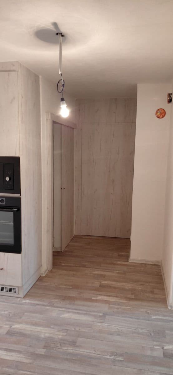 Pronájem bytu 1+1 55 m², Drahonín, Jihomoravský kraj Pronájem bytu 1+1 55 m², Drahonín, Jihomoravský kraj