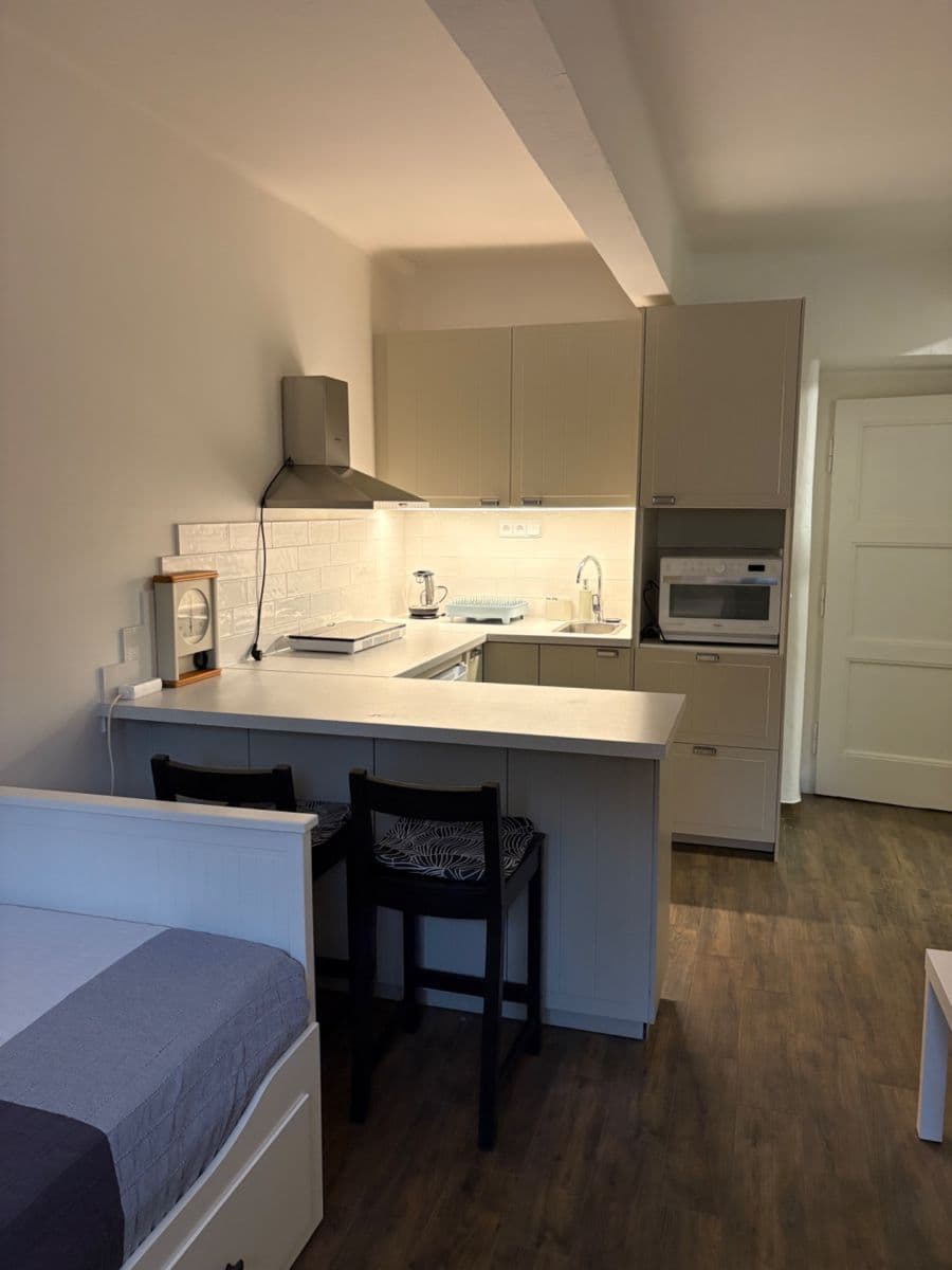 Pronájem bytu 1+kk 20 m², V Úvalu, Praha, Praha Pronájem bytu 1+kk 20 m², V Úvalu, Praha, Praha