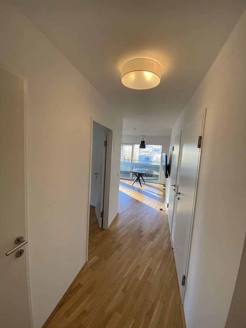 Prodej bytu 2+1 52 m², Wildbergstrasse 18, Linz, Horní Rakousko Prodej bytu 2+1 52 m², Wildbergstrasse 18, Linz, Horní Rakousko