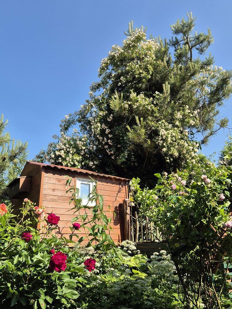 Prodej domu 181 m², pozemek 819 m², Schmiedestr.1, Twedt, Šlesvicko-Holštýnsko Prodej domu 181 m², pozemek 819 m², Schmiedestr.1, Twedt, Šlesvicko-Holštýnsko