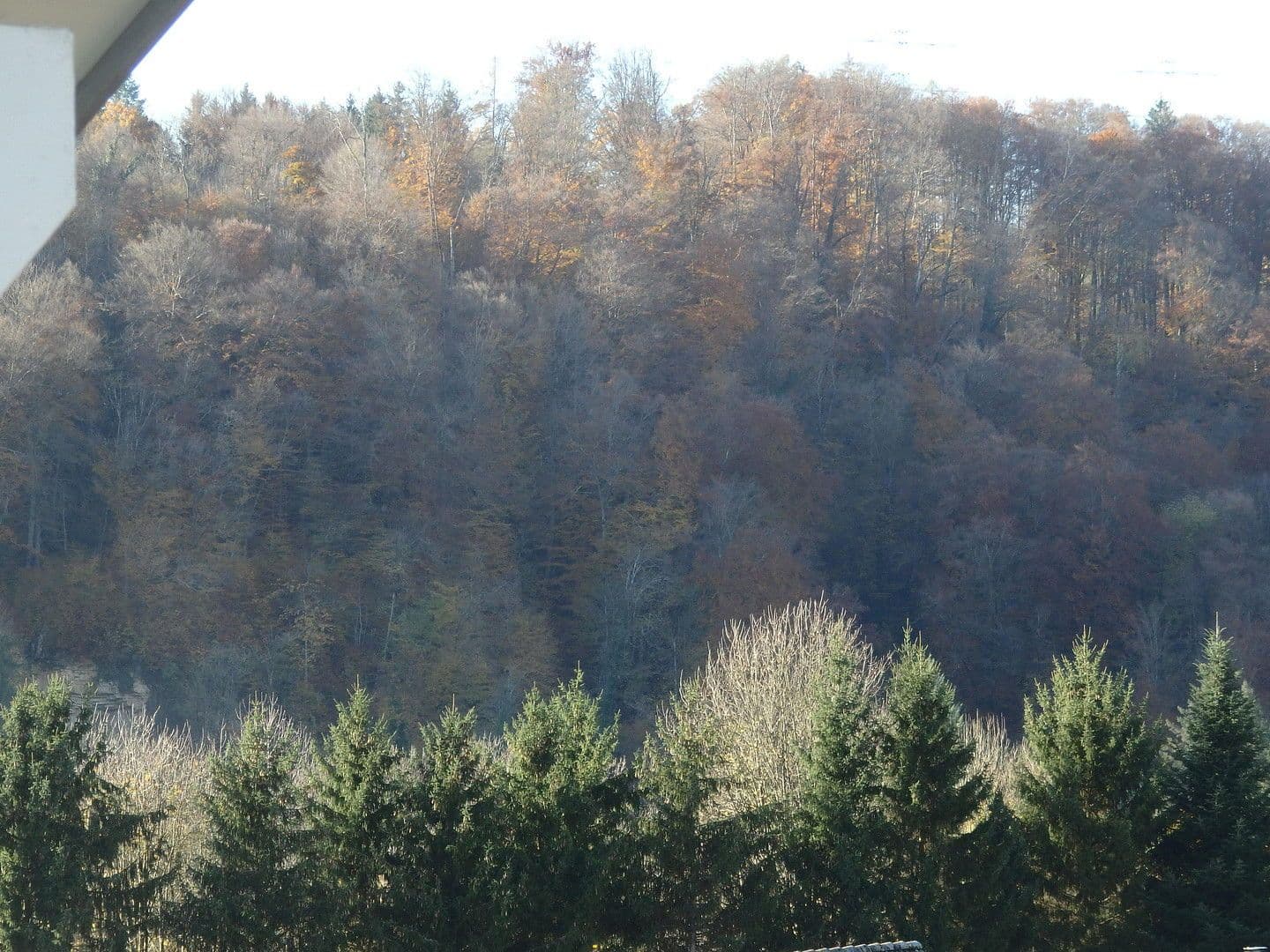 Pronájem bytu 4+kk 120 m², Wehr, Bádensko-Württembersko Pronájem bytu 4+kk 120 m², Wehr, Bádensko-Württembersko