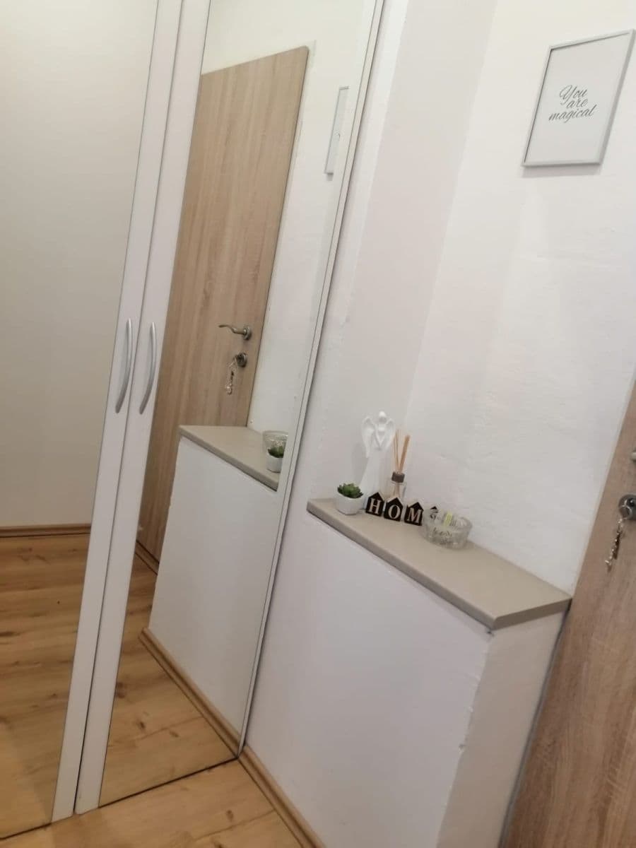 Pronájem bytu 2+1 56 m², Špitálka, Brno, Jihomoravský kraj Pronájem bytu 2+1 56 m², Špitálka, Brno, Jihomoravský kraj