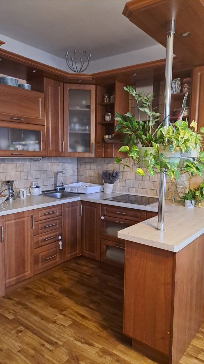 Pronájem bytu 1+1 42 m², Brandtova, Ústí nad Labem, Ústecký kraj Pronájem bytu 1+1 42 m², Brandtova, Ústí nad Labem, Ústecký kraj