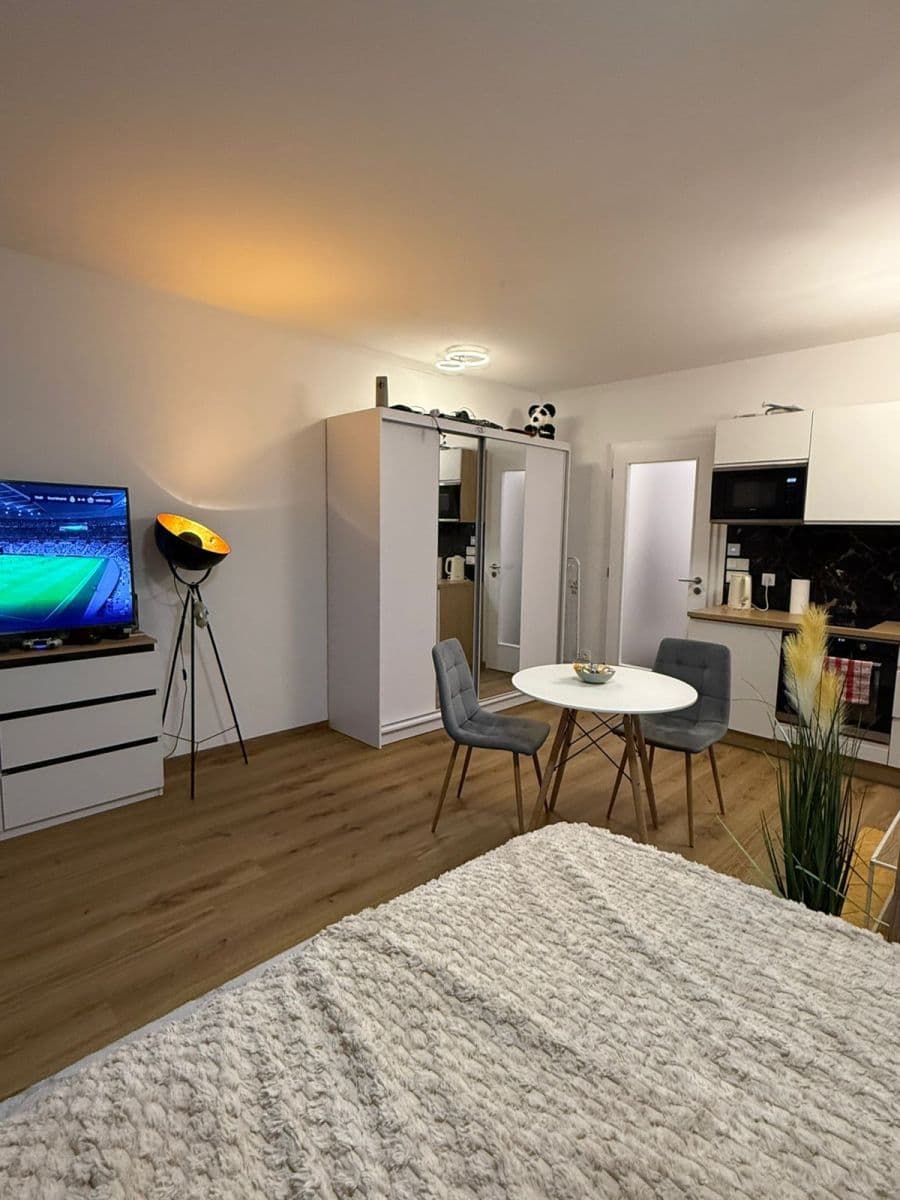 Pronájem bytu 1+kk 40 m², Olgy Havlové, Praha, Praha Pronájem bytu 1+kk 40 m², Olgy Havlové, Praha, Praha