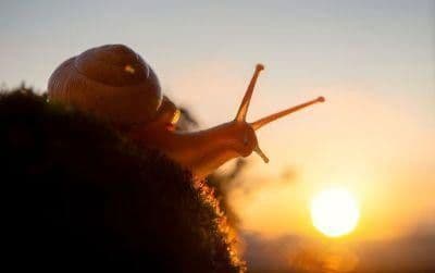 Pronájem bytu 6+1 123 m², Gustav-Bruhn-Straße 8, Angermünde, Braniborsko Pronájem bytu 6+1 123 m², Gustav-Bruhn-Straße 8, Angermünde, Braniborsko